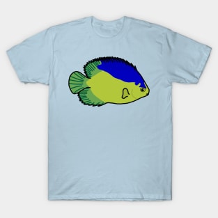 Colin’s Angelfish T-Shirt